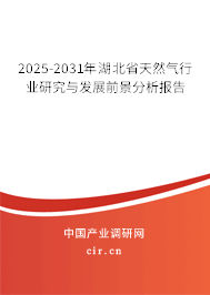2025-2031年湖北省天然氣行業(yè)研究與發(fā)展前景分析報告