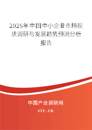 2025年中國中小企業(yè)市場現(xiàn)狀調(diào)研與發(fā)展趨勢預(yù)測分析報告