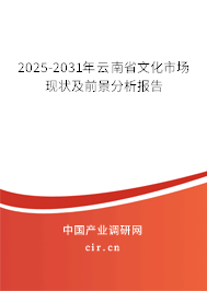 2025-2031年云南省文化市場現(xiàn)狀及前景分析報告