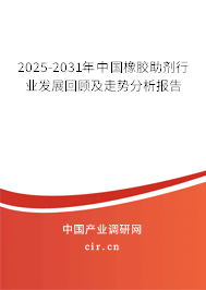 2025-2031年中國橡膠助劑行業(yè)發(fā)展回顧及走勢分析報告