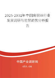 2025-2031年中國扁鋼絲行業(yè)發(fā)展調(diào)研與前景趨勢分析報(bào)告 2025-2031年中國扁鋼絲行業(yè)發(fā)展調(diào)研與前景趨勢分析報(bào)告
