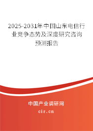 2025-2031年中國(guó)山東電信行業(yè)競(jìng)爭(zhēng)態(tài)勢(shì)及深度研究咨詢預(yù)測(cè)報(bào)告