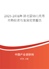 2025-2031年湖北嬰幼兒托育市場現狀與發(fā)展前景報告 2025-2031年湖北嬰幼兒托育市場現狀與發(fā)展前景報告