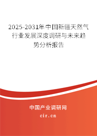 (最新)中國新疆天然氣行業(yè)發(fā)展深度調(diào)研與未來趨勢分析報告 (最新)中國新疆天然氣行業(yè)發(fā)展深度調(diào)研與未來趨勢分析報告