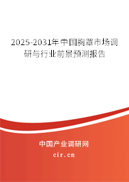 2025-2031年中國(guó)胸罩市場(chǎng)調(diào)研與行業(yè)前景預(yù)測(cè)報(bào)告