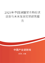 2025年中國(guó)演播室市場(chǎng)現(xiàn)狀調(diào)查與未來(lái)發(fā)展前景趨勢(shì)報(bào)告