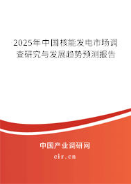 2025年中國核能發(fā)電市場調(diào)查研究與發(fā)展趨勢預(yù)測報告 2025年中國核能發(fā)電市場調(diào)查研究與發(fā)展趨勢預(yù)測報告