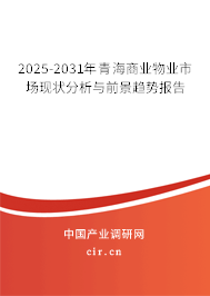 2025-2031年青海商業(yè)物業(yè)市場現(xiàn)狀分析與前景趨勢報(bào)告
