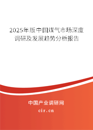2025年版中國煤氣市場深度調(diào)研及發(fā)展趨勢分析報告 2025年版中國煤氣市場深度調(diào)研及發(fā)展趨勢分析報告