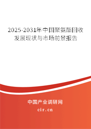 2025-2031年中國聚氨酯回收發(fā)展現(xiàn)狀與市場前景報(bào)告
