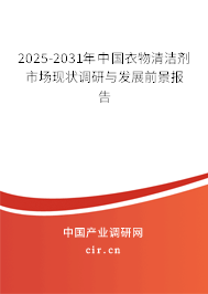 2025-2031年中國(guó)衣物清潔劑市場(chǎng)現(xiàn)狀調(diào)研與發(fā)展前景報(bào)告