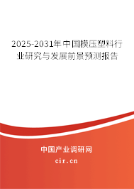 2025-2031年中國模壓塑料行業(yè)研究與發(fā)展前景預(yù)測報(bào)告 2025-2031年中國模壓塑料行業(yè)研究與發(fā)展前景預(yù)測報(bào)告