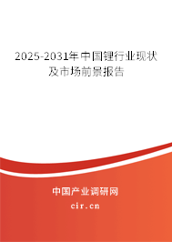 2025-2031年中國鋰行業(yè)現(xiàn)狀及市場前景報告