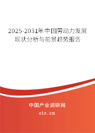 (最新)中國勞動力發(fā)展現(xiàn)狀分析與前景趨勢報告 (最新)中國勞動力發(fā)展現(xiàn)狀分析與前景趨勢報告