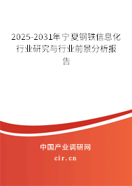 2025-2031年寧夏鋼鐵信息化行業(yè)研究與行業(yè)前景分析報(bào)告 2025-2031年寧夏鋼鐵信息化行業(yè)研究與行業(yè)前景分析報(bào)告