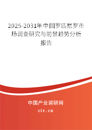 2025-2031年中國羅匹尼羅市場調(diào)查研究與前景趨勢分析報(bào)告 2025-2031年中國羅匹尼羅市場調(diào)查研究與前景趨勢分析報(bào)告