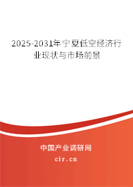 2025-2031年寧夏低空經(jīng)濟(jì)行業(yè)現(xiàn)狀與市場前景 2025-2031年寧夏低空經(jīng)濟(jì)行業(yè)現(xiàn)狀與市場前景