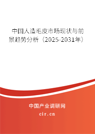 中國(guó)人造毛皮市場(chǎng)現(xiàn)狀與前景趨勢(shì)分析(2025-2031年) 中國(guó)人造毛皮市場(chǎng)現(xiàn)狀與前景趨勢(shì)分析(2025-2031年)