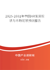 2025-2031年中國AR發(fā)展現(xiàn)狀與市場前景預(yù)測報(bào)告