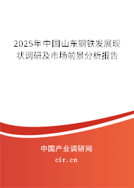 2025年中國山東鋼鐵發(fā)展現(xiàn)狀調(diào)研及市場前景分析報告 2025年中國山東鋼鐵發(fā)展現(xiàn)狀調(diào)研及市場前景分析報告