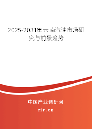 2025-2031年云南汽油市場研究與前景趨勢(shì) 2025-2031年云南汽油市場研究與前景趨勢(shì)