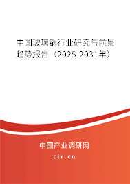 中國(guó)玻璃鍋行業(yè)研究與前景趨勢(shì)報(bào)告(2025-2031年) 中國(guó)玻璃鍋行業(yè)研究與前景趨勢(shì)報(bào)告(2025-2031年)