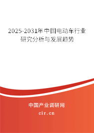 2025-2031年中國(guó)電動(dòng)車行業(yè)研究分析與發(fā)展趨勢(shì) 2025-2031年中國(guó)電動(dòng)車行業(yè)研究分析與發(fā)展趨勢(shì)