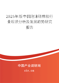 2025年版中國泡沫硅橡膠行業(yè)現(xiàn)狀分析及發(fā)展趨勢研究報(bào)告 2025年版中國泡沫硅橡膠行業(yè)現(xiàn)狀分析及發(fā)展趨勢研究報(bào)告