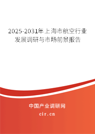 2025-2031年上海市航空行業(yè)發(fā)展調研與市場前景報告