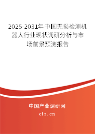 2025-2031年中國(guó)無(wú)損檢測(cè)機(jī)器人行業(yè)現(xiàn)狀調(diào)研分析與市場(chǎng)前景預(yù)測(cè)報(bào)告