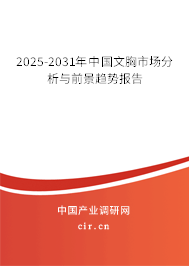 2025-2031年中國文胸市場分析與前景趨勢報告