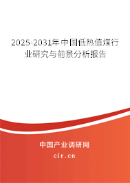 2025-2031年中國低熱值煤行業(yè)研究與前景分析報告