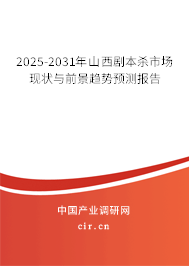 2025-2031年山西劇本殺市場現(xiàn)狀與前景趨勢預測報告 2025-2031年山西劇本殺市場現(xiàn)狀與前景趨勢預測報告