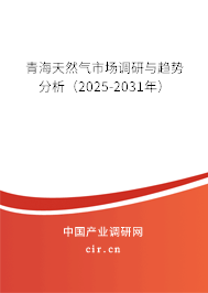青海天然氣市場調(diào)研與趨勢分析（2025-2031年）