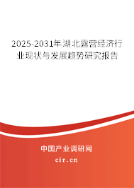 2025-2031年湖北露營經(jīng)濟行業(yè)現(xiàn)狀與發(fā)展趨勢研究報告