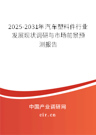 2025-2031年汽車塑料件行業(yè)發(fā)展現(xiàn)狀調(diào)研與市場前景預(yù)測報告 2025-2031年汽車塑料件行業(yè)發(fā)展現(xiàn)狀調(diào)研與市場前景預(yù)測報告