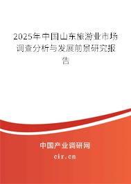 2025年中國山東旅游業(yè)市場調(diào)查分析與發(fā)展前景研究報告